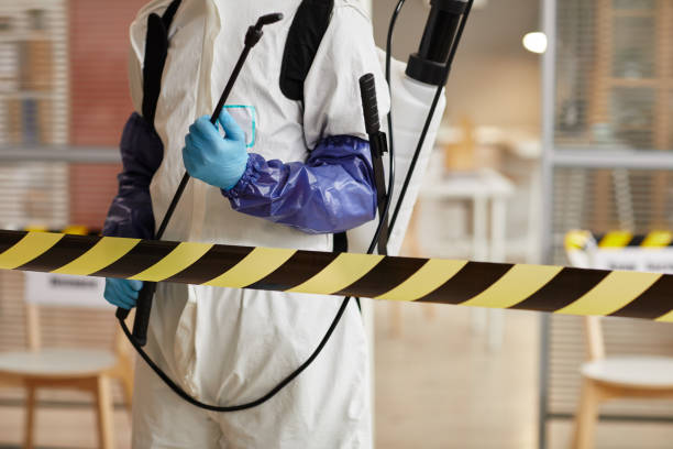 Professional Hoarding Cleanup technician working in Pembroke, MA
